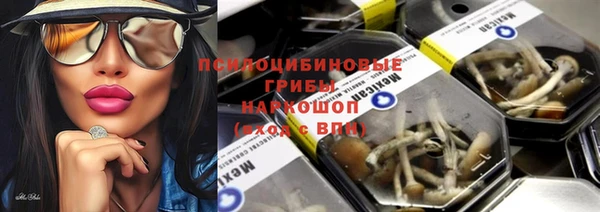 не бодяженный Гусь-Хрустальный