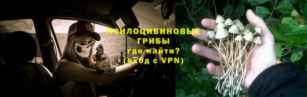 МДПВ Гусиноозёрск