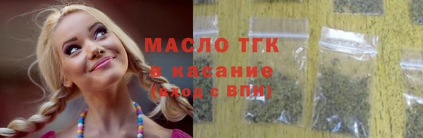 мдпв Гусев
