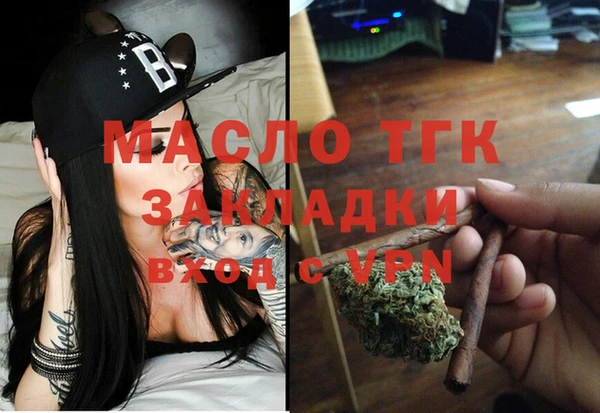 мдпв Гусев