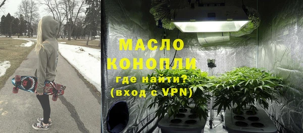 мдпв Гусев