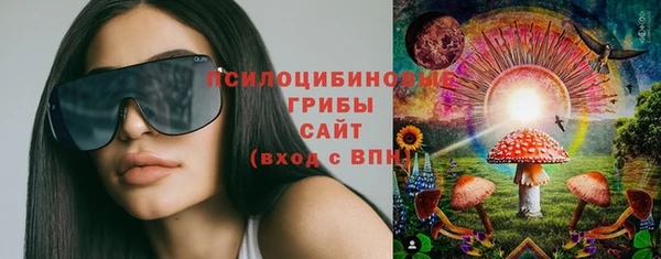 МДПВ Гусиноозёрск