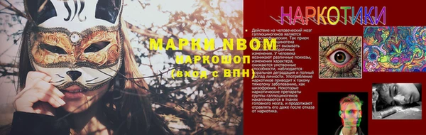 мдпв Гусев