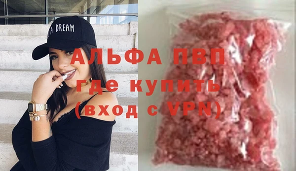 мдпв Гусев