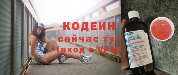 не бодяженный Гусь-Хрустальный