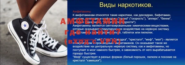 мдпв Гусев