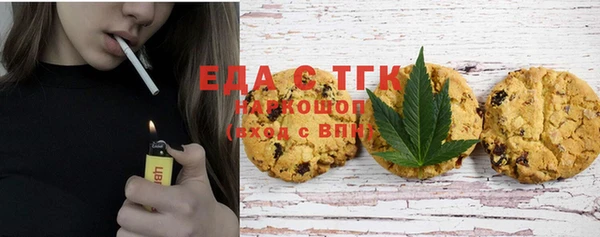 мдпв Гусев