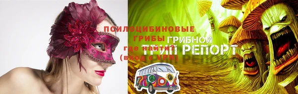 мдпв Гусев