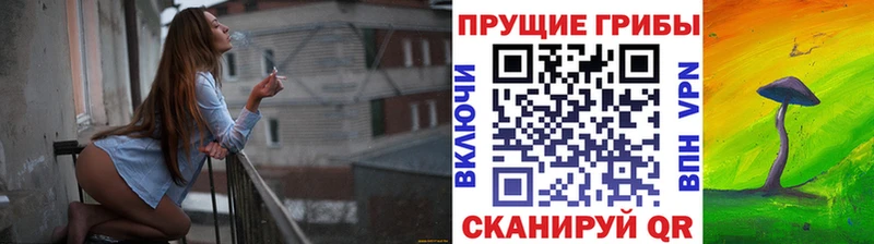 Купить где  Шарья  Псилоцибиновые грибы GOLDEN TEACHER 